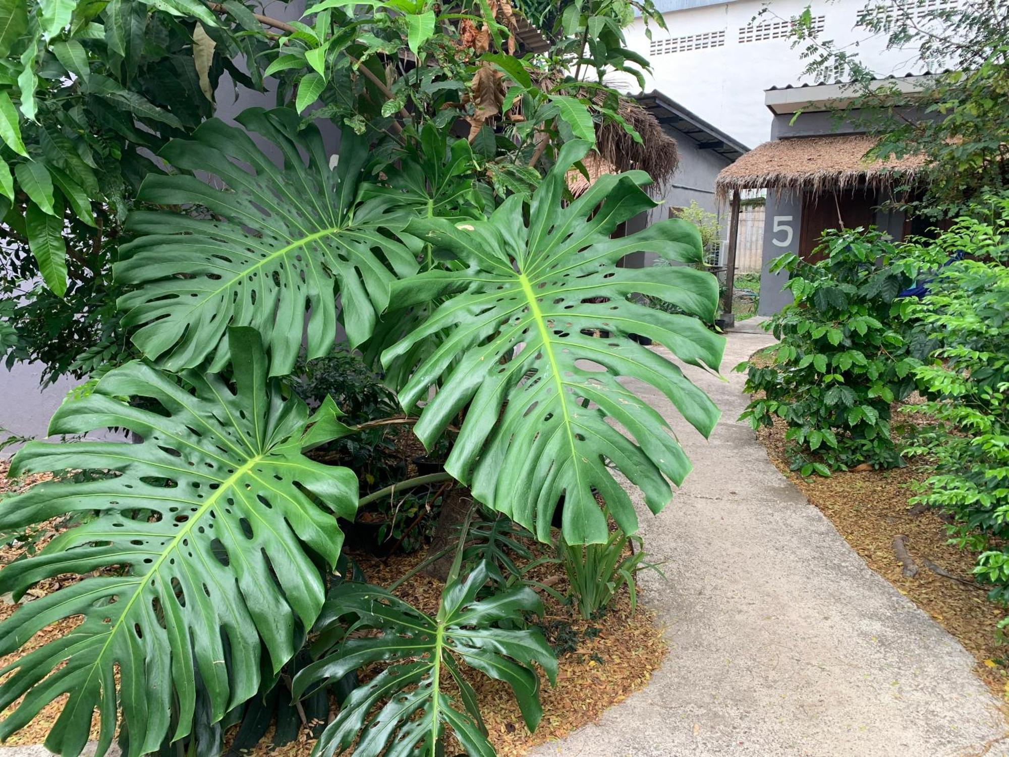 บ้านใจแปงโฮมสเตย์ Ban Jaipang Homestay Pai Bagian luar foto