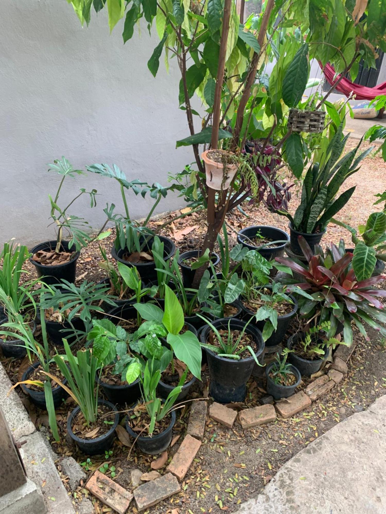 บ้านใจแปงโฮมสเตย์ Ban Jaipang Homestay Pai Bagian luar foto
